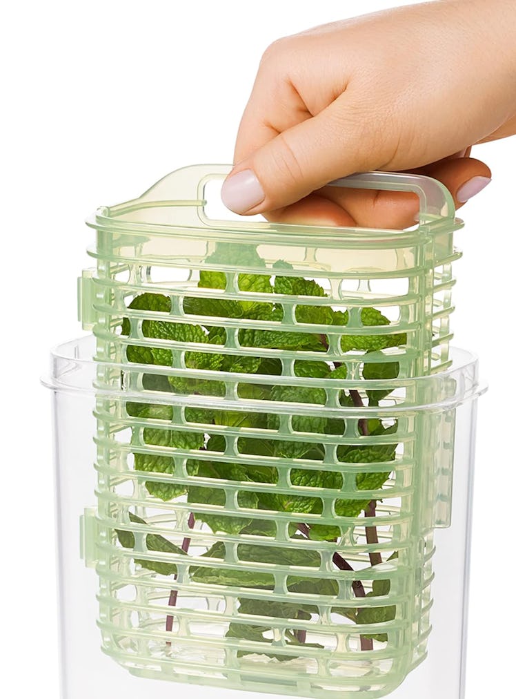 OXO Good Grips Herb Keeper