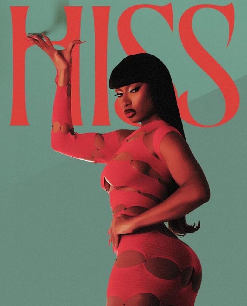 Megan Thee Stallion’s cover artwork for her new single “Hiss."