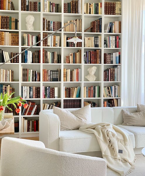 Bookshelf Wealth trend on TikTok