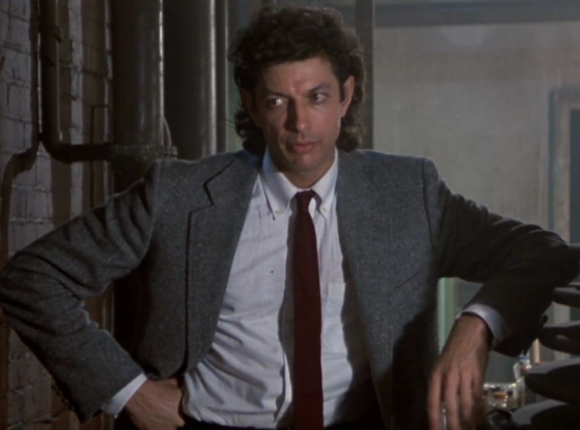 Celebrity Crushes Can Improve Your Film Taste. Jeff Goldblum in &lsquo;The Fly.&rsquo; Screenshot via YouTube