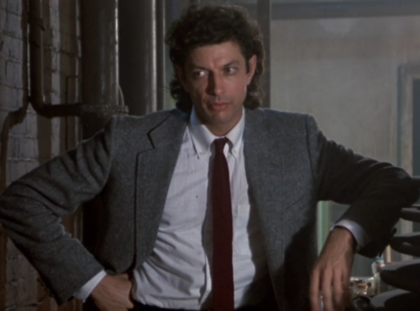 Celebrity Crushes Can Improve Your Film Taste. Jeff Goldblum in 'The Fly.' Screenshot via YouTube