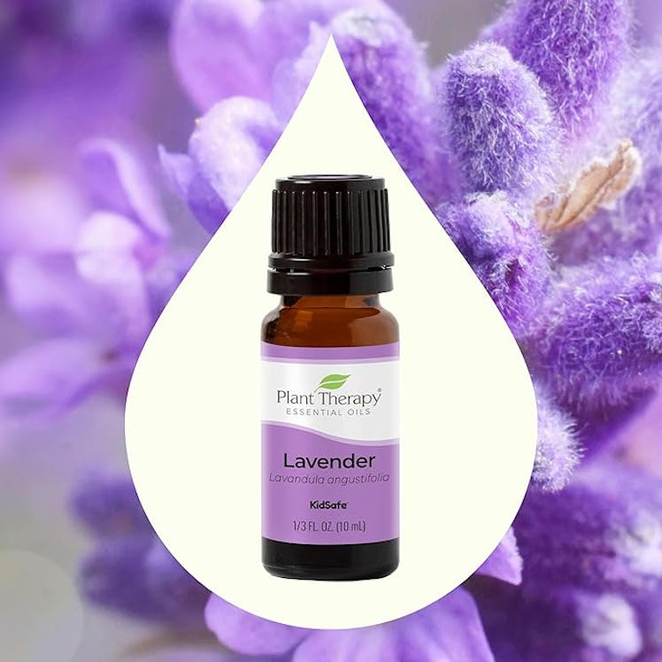 Plant Therapy Lavender Essential Oil