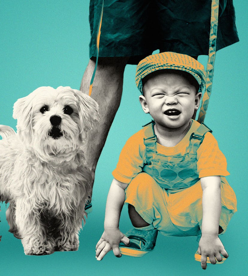 A child on a child leash next to a dog on a leash. Both leashes are being held by one adult.