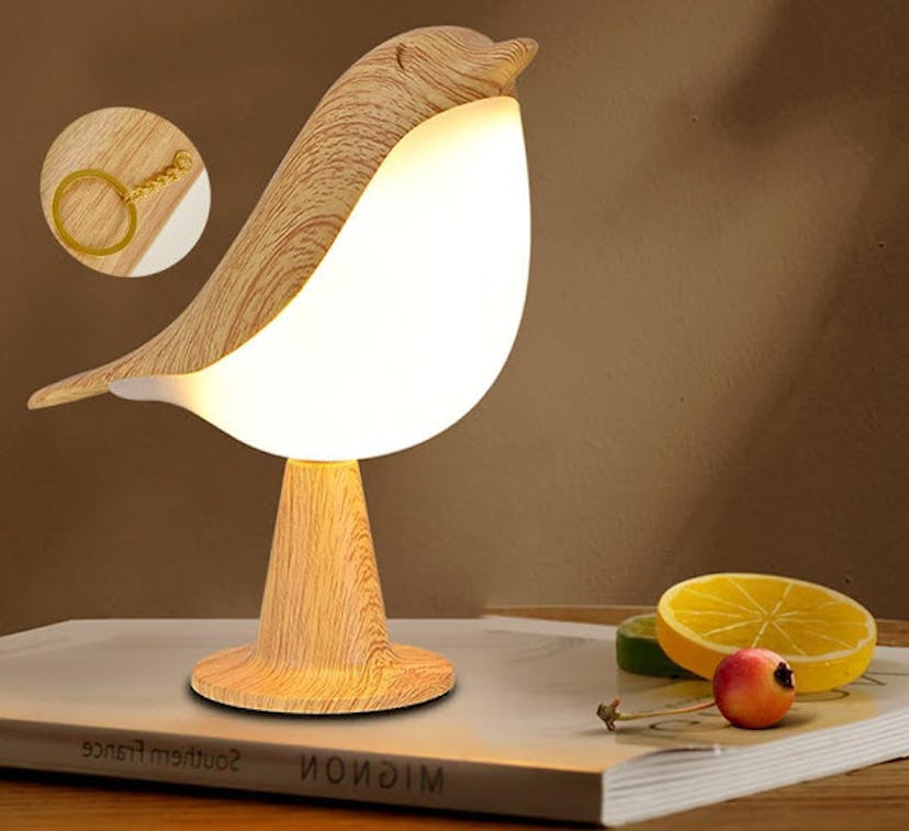 Xhope4u Small Cordless Bedside Lamp