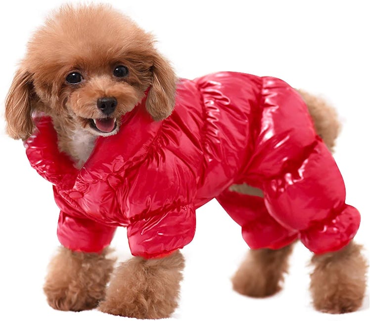 AOFITEE Dog Coat