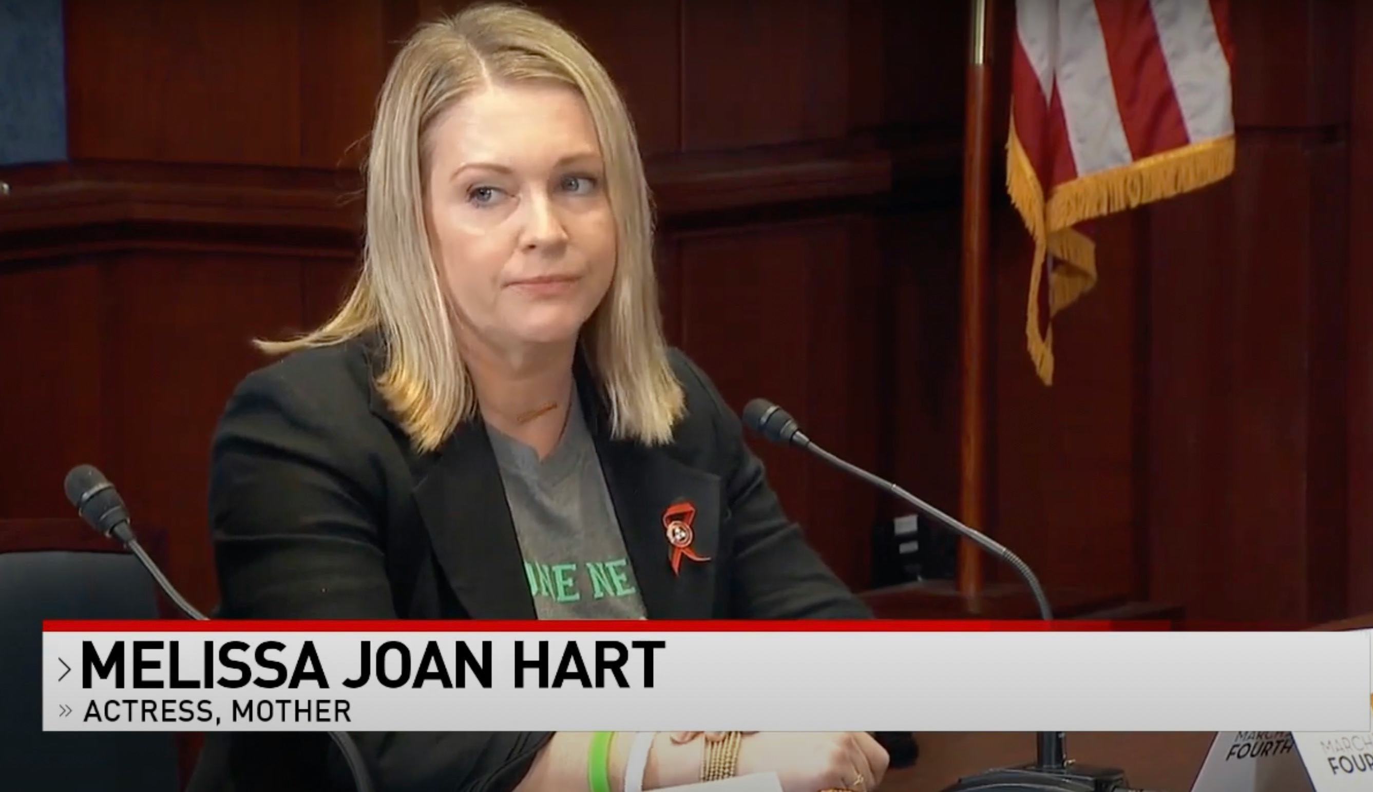 Melissa Joan Hart spoke about gun violence during a Senate roundtable event. 