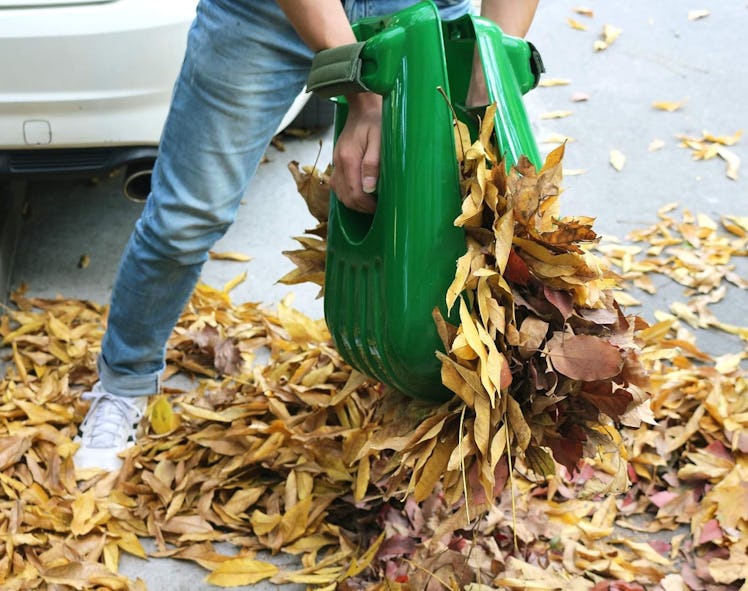 Gardzen Large Leaf Scoop Hand Rakes