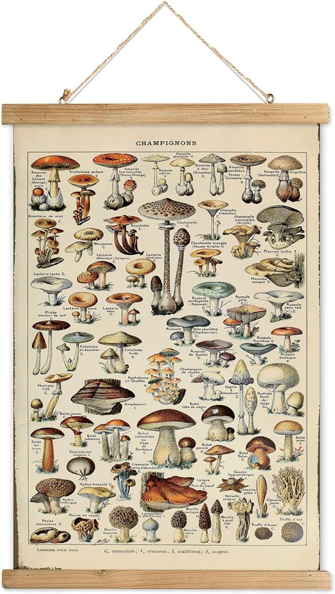 XIAOAIKA Vintage Mushroom Poster with Wooden Scroll Frame