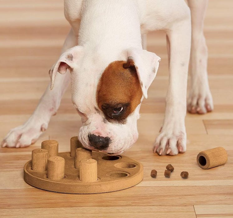 Outward Hound by Nina Ottosson Dog Puzzle