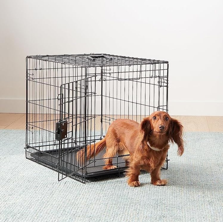 Amazon Basics Foldable Wire Crate