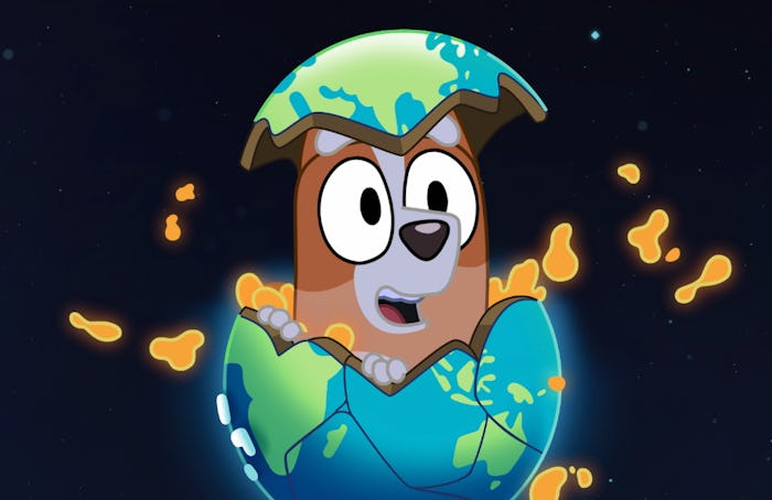 Bingo in Bluey