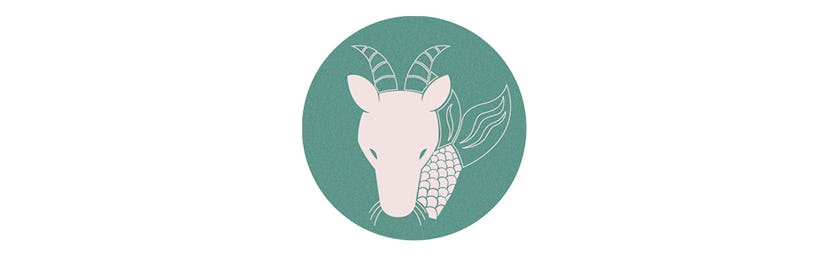Capricorn is one of the zodiac signs most affected by the January 2024 new moon.