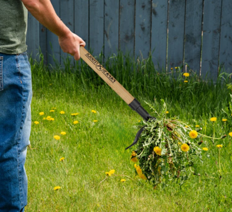 Papa's Stand-Up Weeder