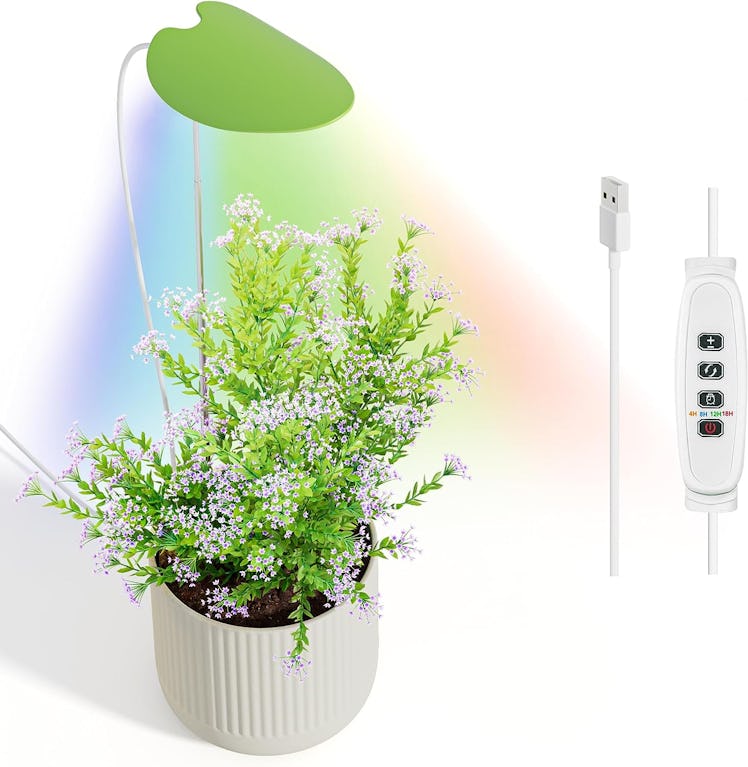 Diivoo Plant Grow Light