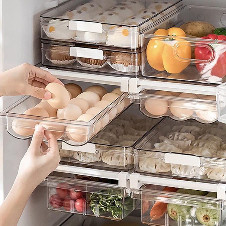 Dewpeton Refrigerator Organizer Bin