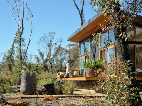 new south wales guide