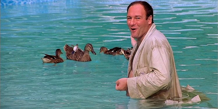 Tony’s obsession with the ducks in his pool — and their leaving — is a focus in the series’ pilot.