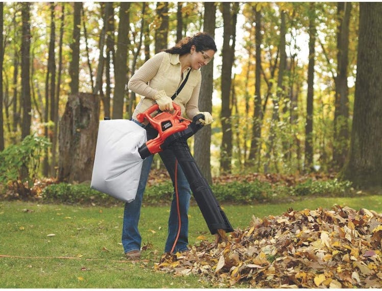 BLACK+DECKER 3-in-1 Leaf Blower