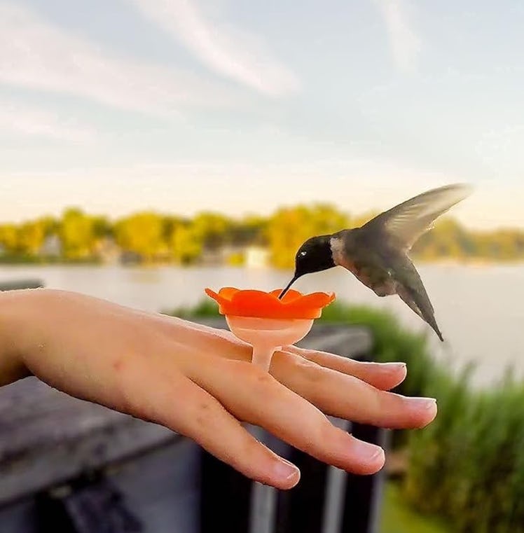 ZUMMR Hummingbird Ring Feeder