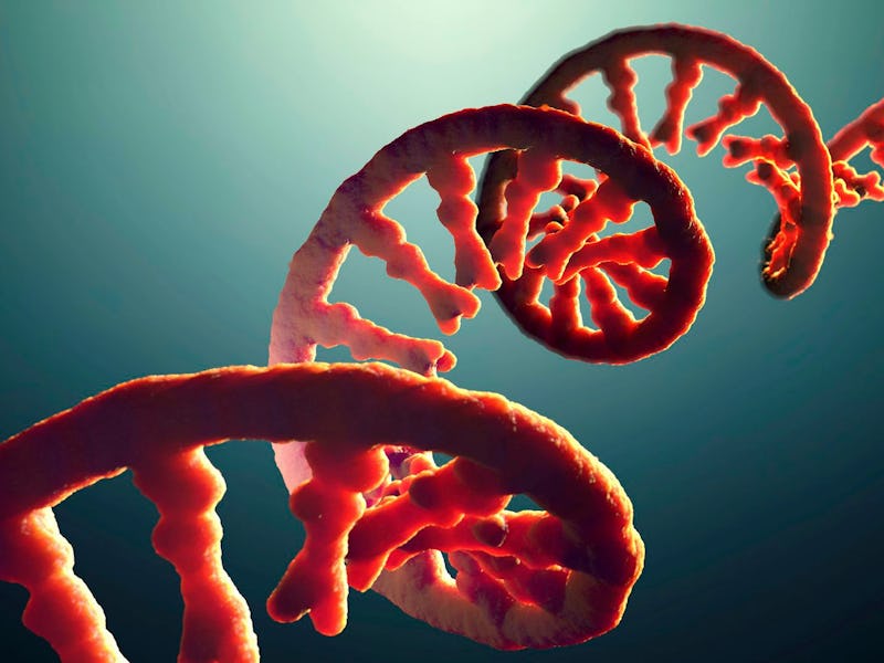 RNA is more than just a transitional state between DNA and protein.