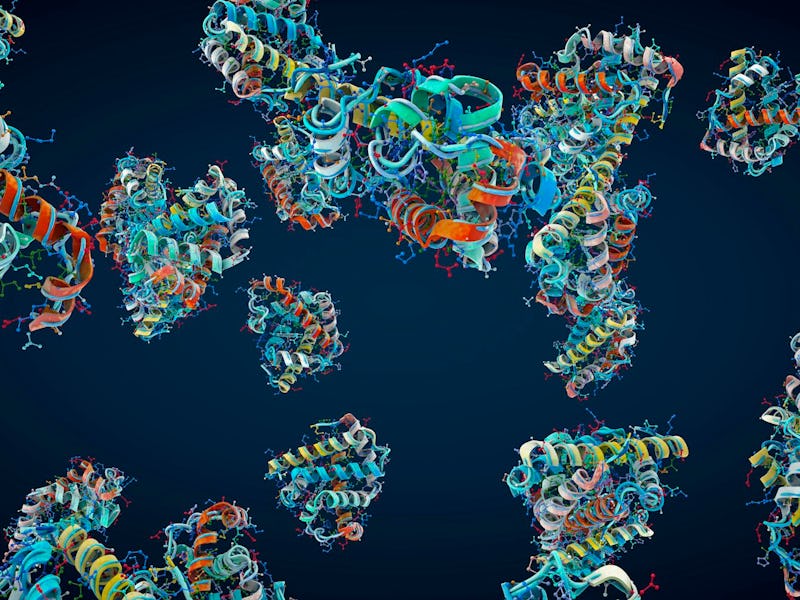 Protein molecules can have complicated structures that dictate their functions.