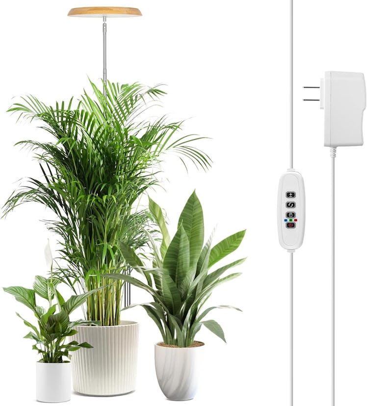 LORDEM Indoor Plant Grow Light