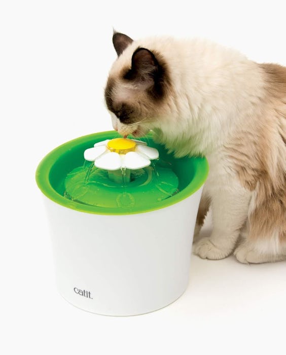 Catit Pet Water Fountain