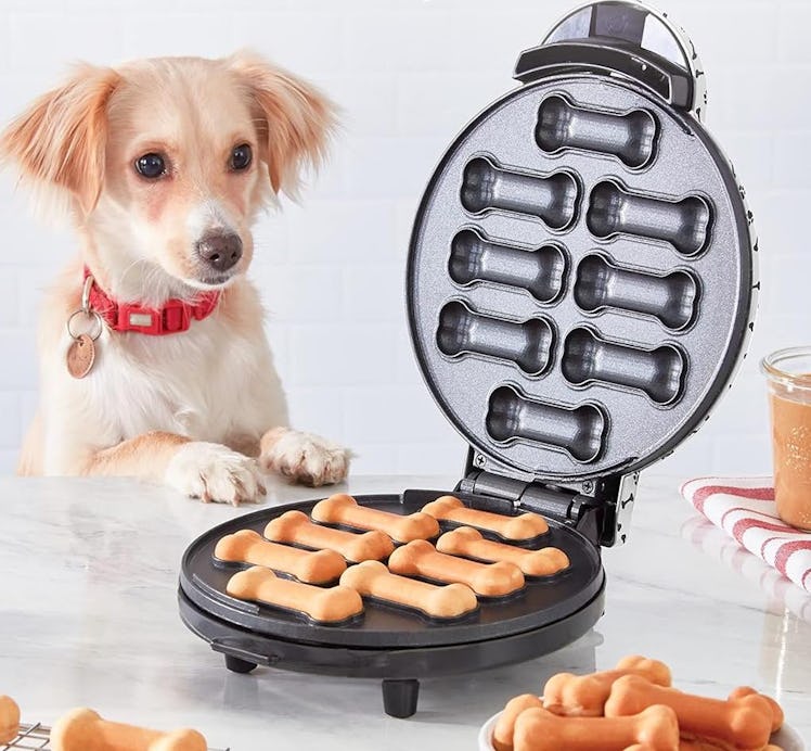 DASH Dog Treat Maker