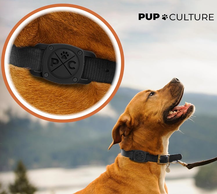 Pup Culture AirTag Dog Collar