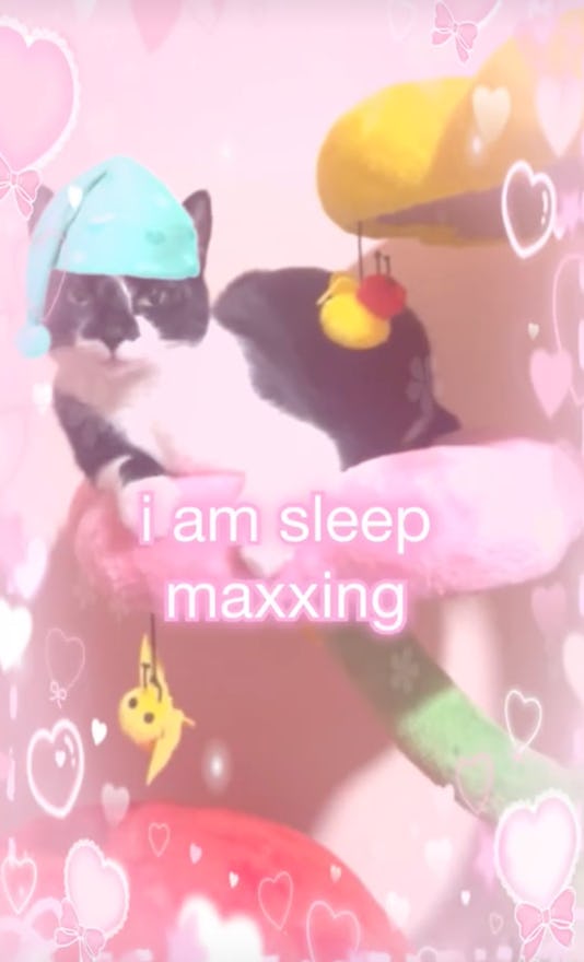 What is sleep maxxing?