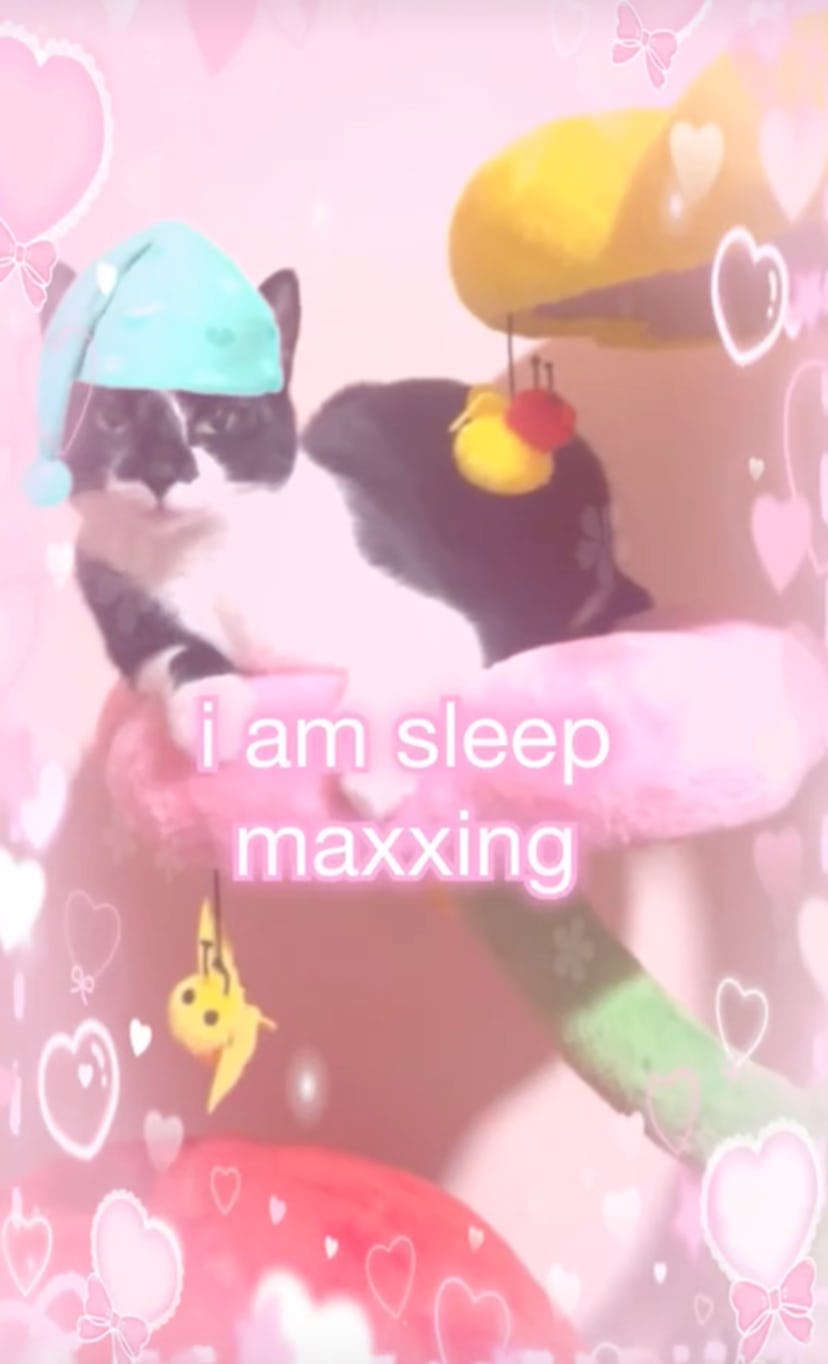 What is sleep maxxing? 