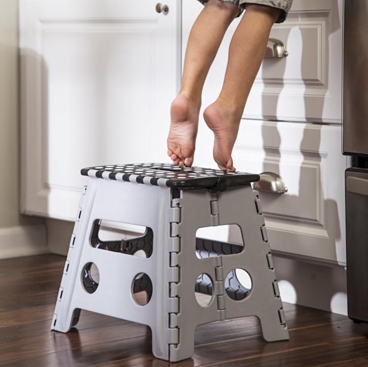 Honey-Can-Do Folding Step Stool