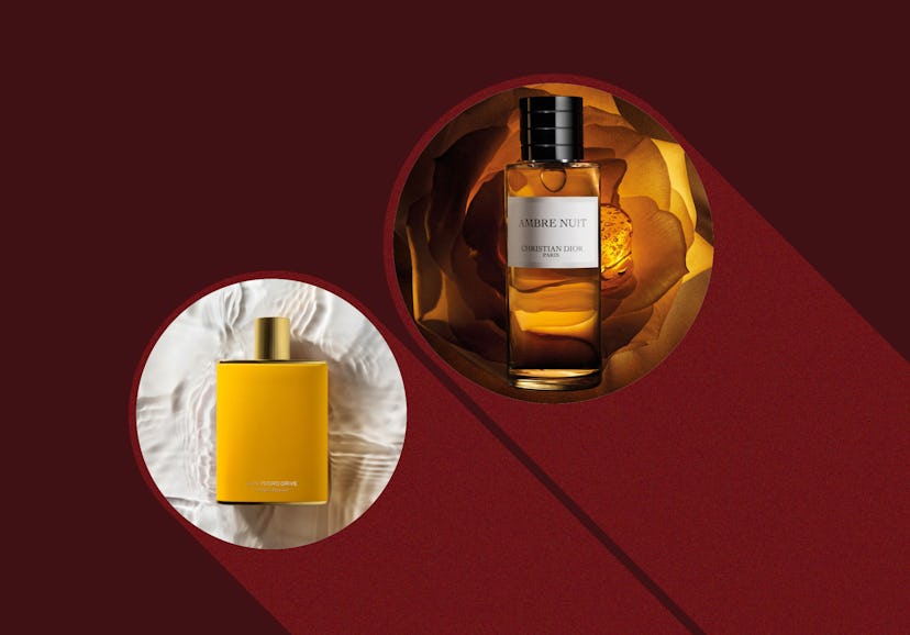 Here are amber perfumes to try for fall 2024.