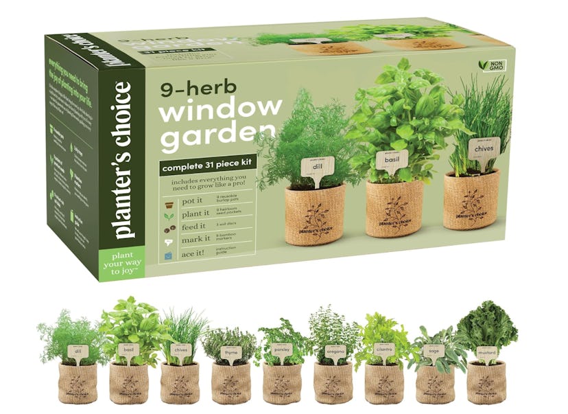 Planters' Choice Indoor Window Garden Kit