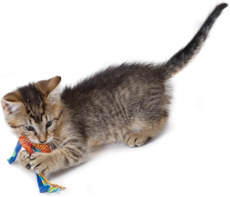 Petstages Dental Health Chew (2-Pack)