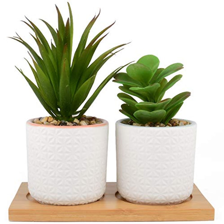 IMPRESA Artificial Succulent Plants (Set of 2)