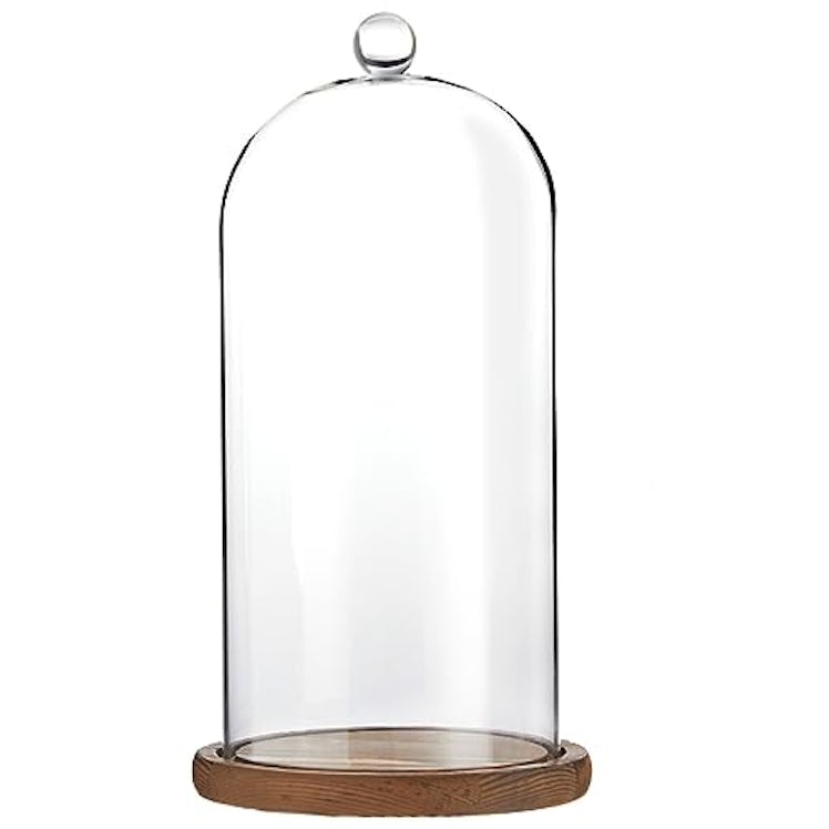 Farmlyn Creek Glass Bell Jar Display Case