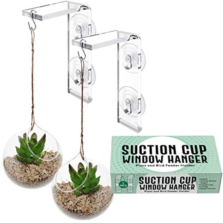 IMPRESA Suction Cup Window Plant Hanger (2-Pack)