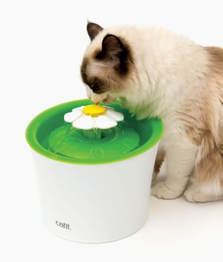 Catit Flower Water Fountain