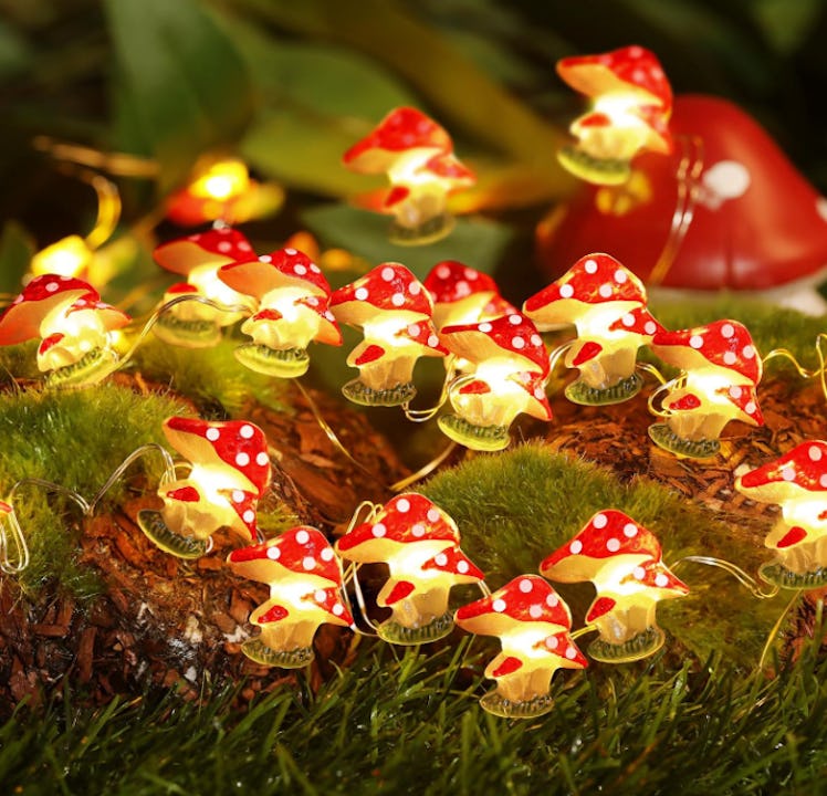 Coquimbo Indoor/Outdoor Mushroom String Lights