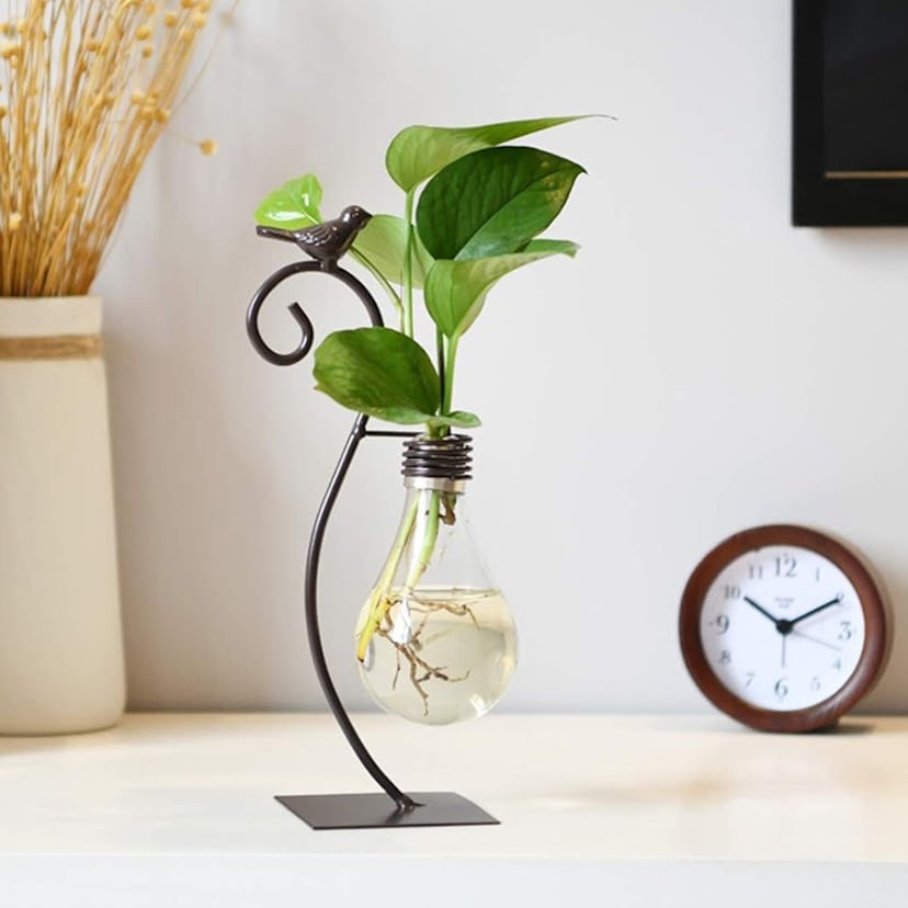 Marbrasse Desktop Bulb Planter Hydroponics Vase