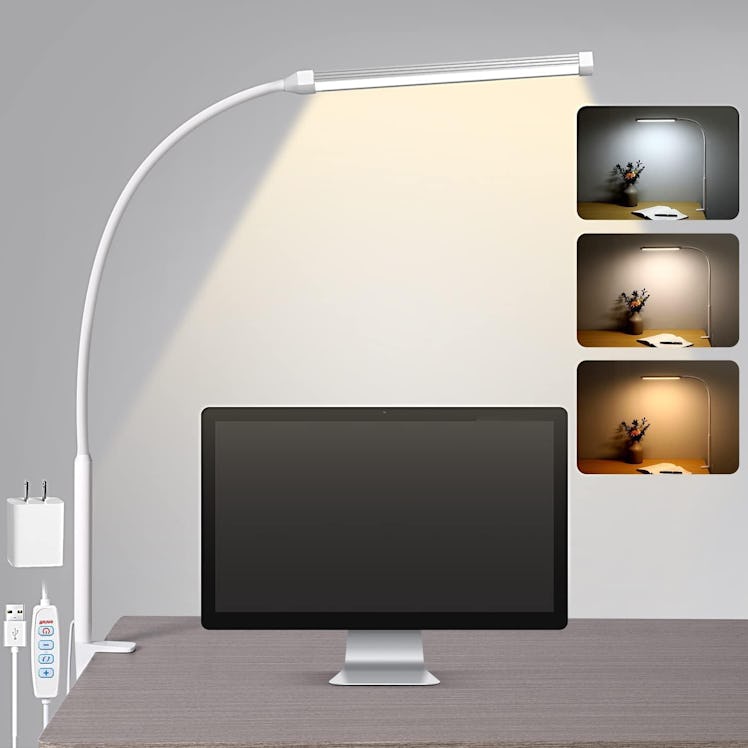 Voncerus Customizable Clip-On Desk Lamp