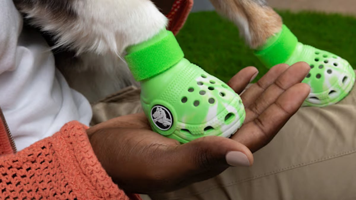 Crocs For Dogs Are A Thing. Here s When Where To Get A Set