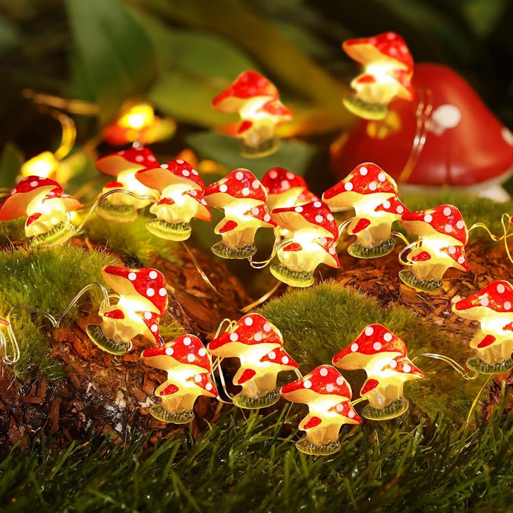 Coquimbo Mushroom Indoor String Lights