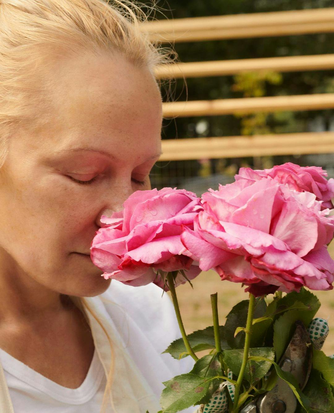 Pamela Anderson and Sonsie skin care.