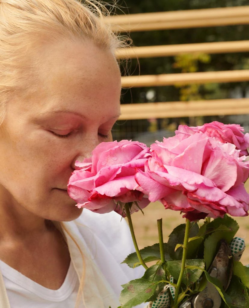 Pamela Anderson and Sonsie skin care.