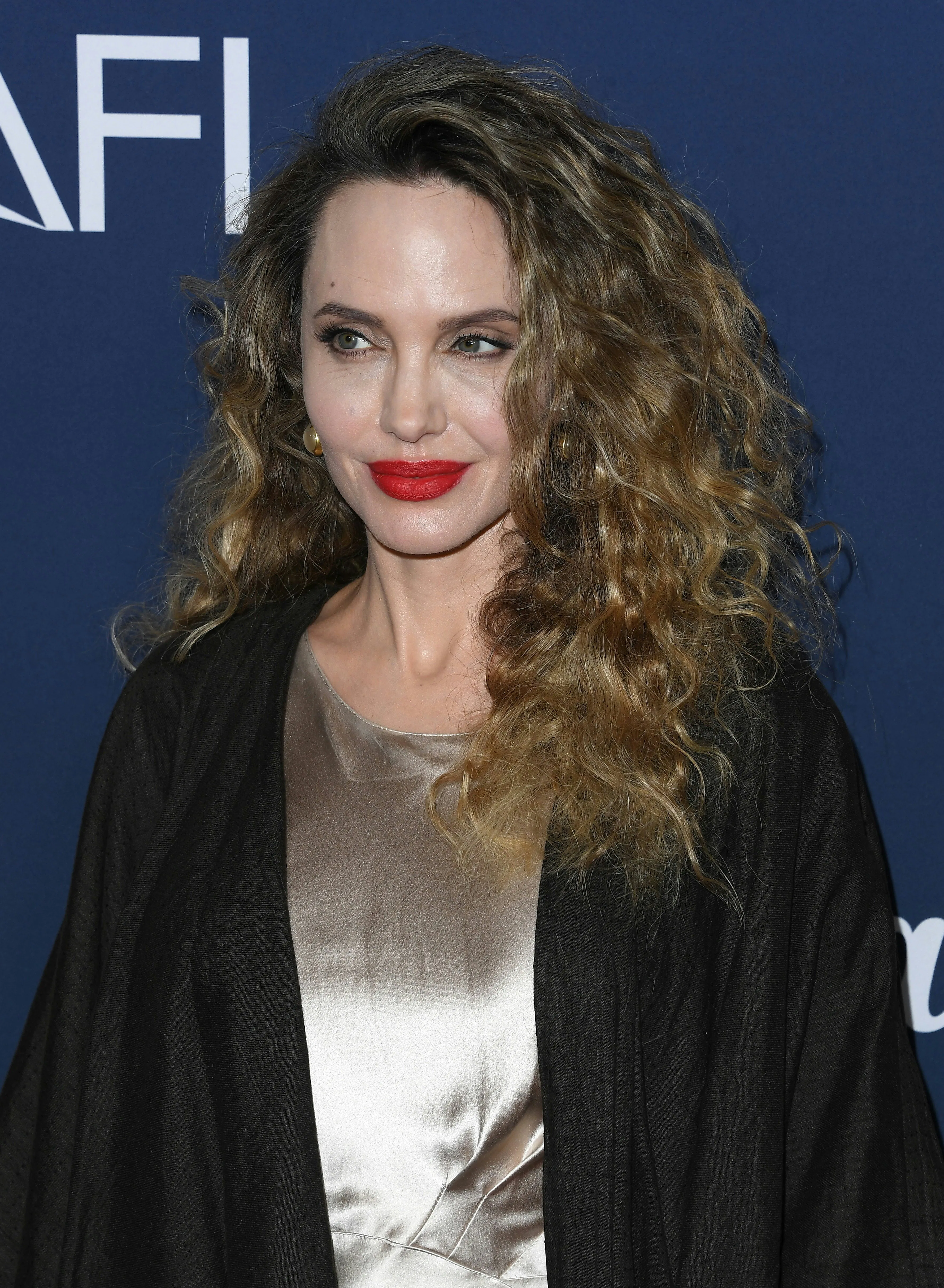 Angelina Jolie Rewears an Atelier Jolie Dress With Untamed '70s Hair