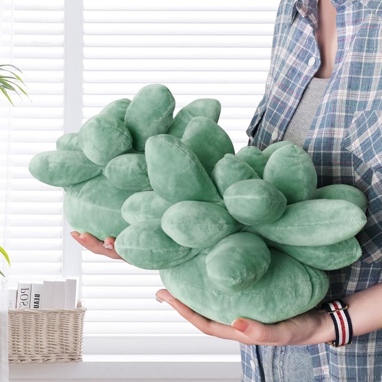 OtNiap 3-D Succulent Pillow