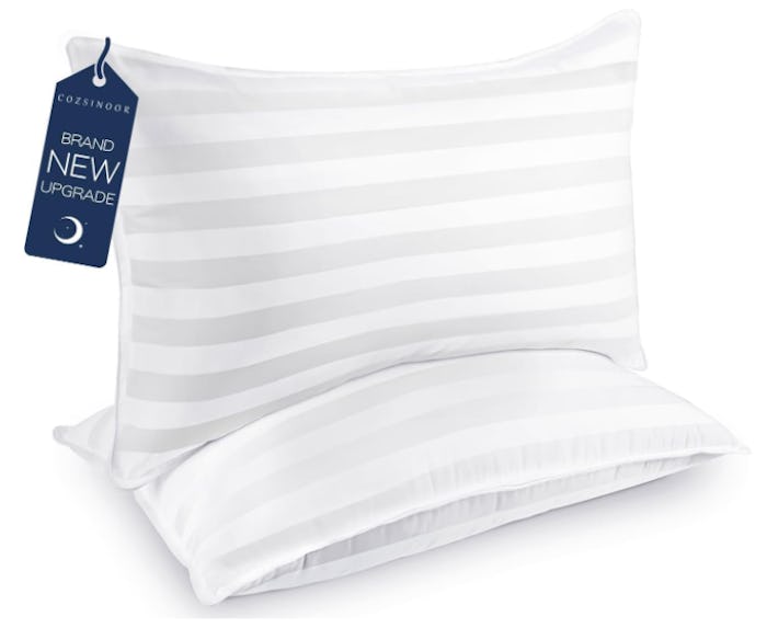 COZSINOOR Microfiber-Filled Queen Size Bed Pillows (Set of 2)