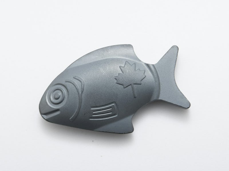 Many TikTok users say using this iron fish has helped with their iron deficiency.